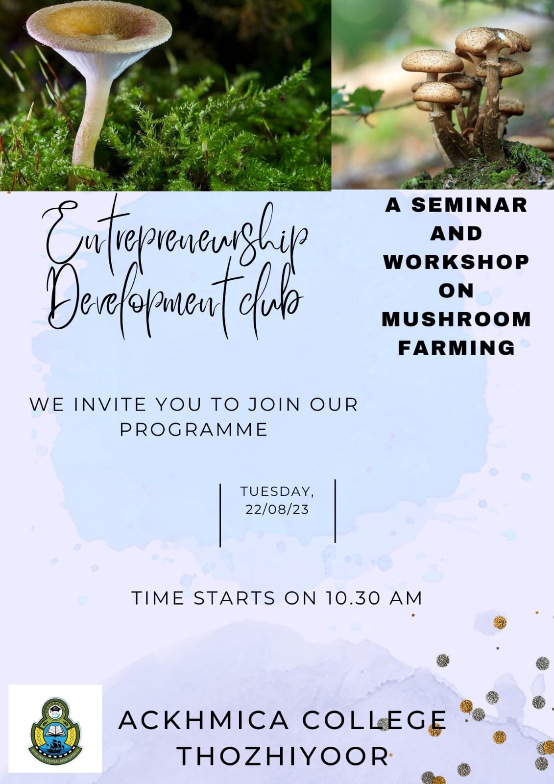 Mushroom Farming
